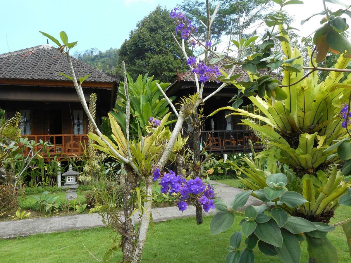 Kubu Alas Tunggal Villa Sidemen  Exterior foto